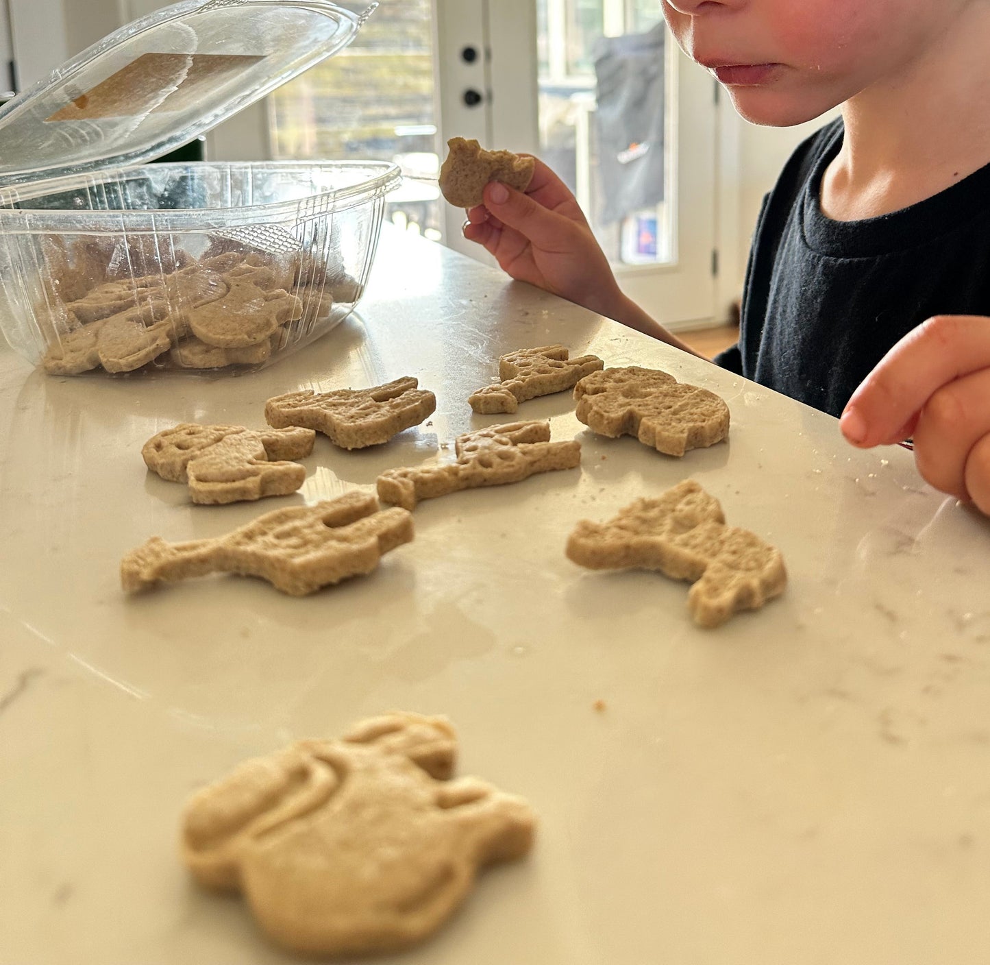 Animal Crackers (gf)