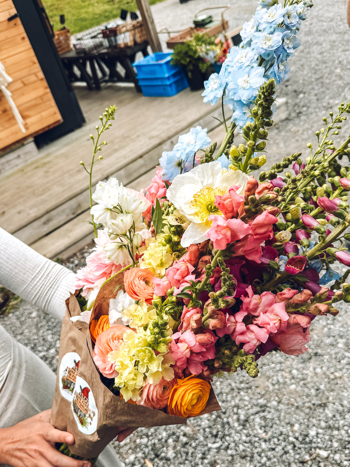 Fresh Flowers