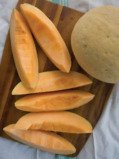 Cantaloupe