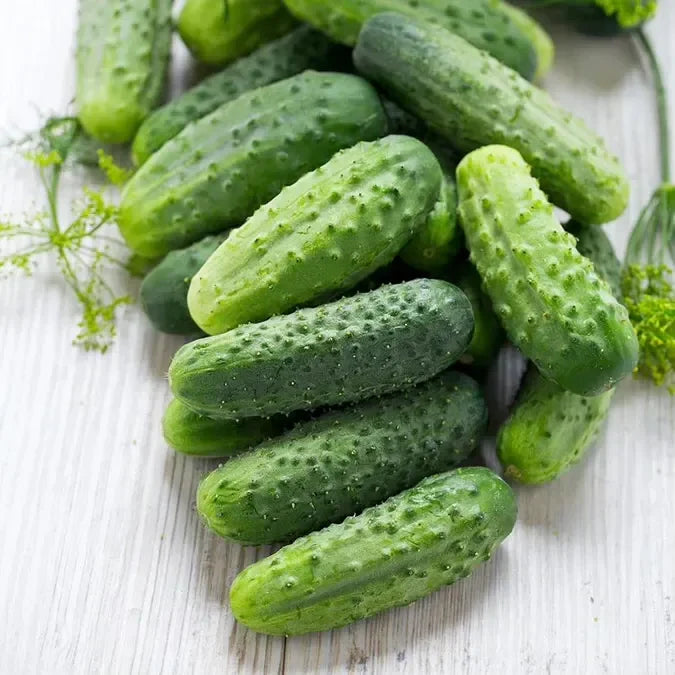 Cucumbers (Dual Purpose)