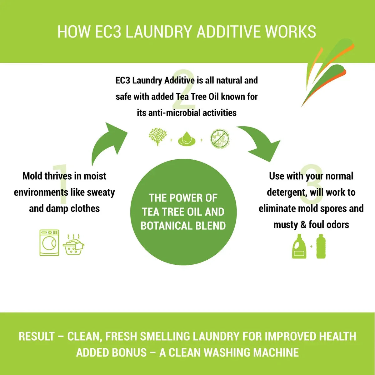 Mold Cleaning Solutions