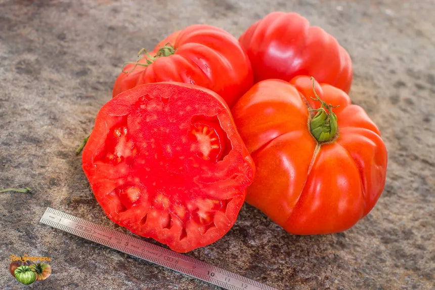Heirloom Tomatoes