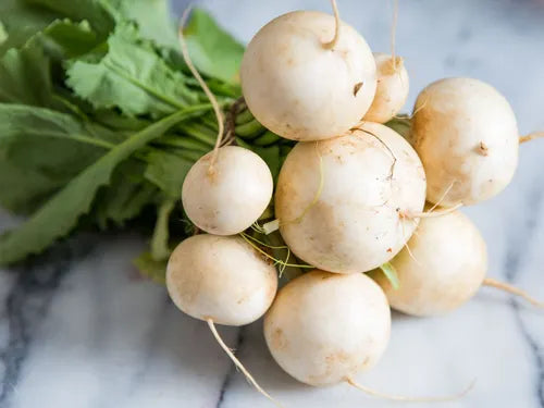 Hakurei Turnips