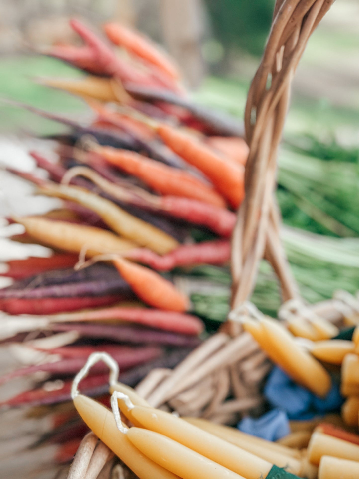 Rainbow Carrots