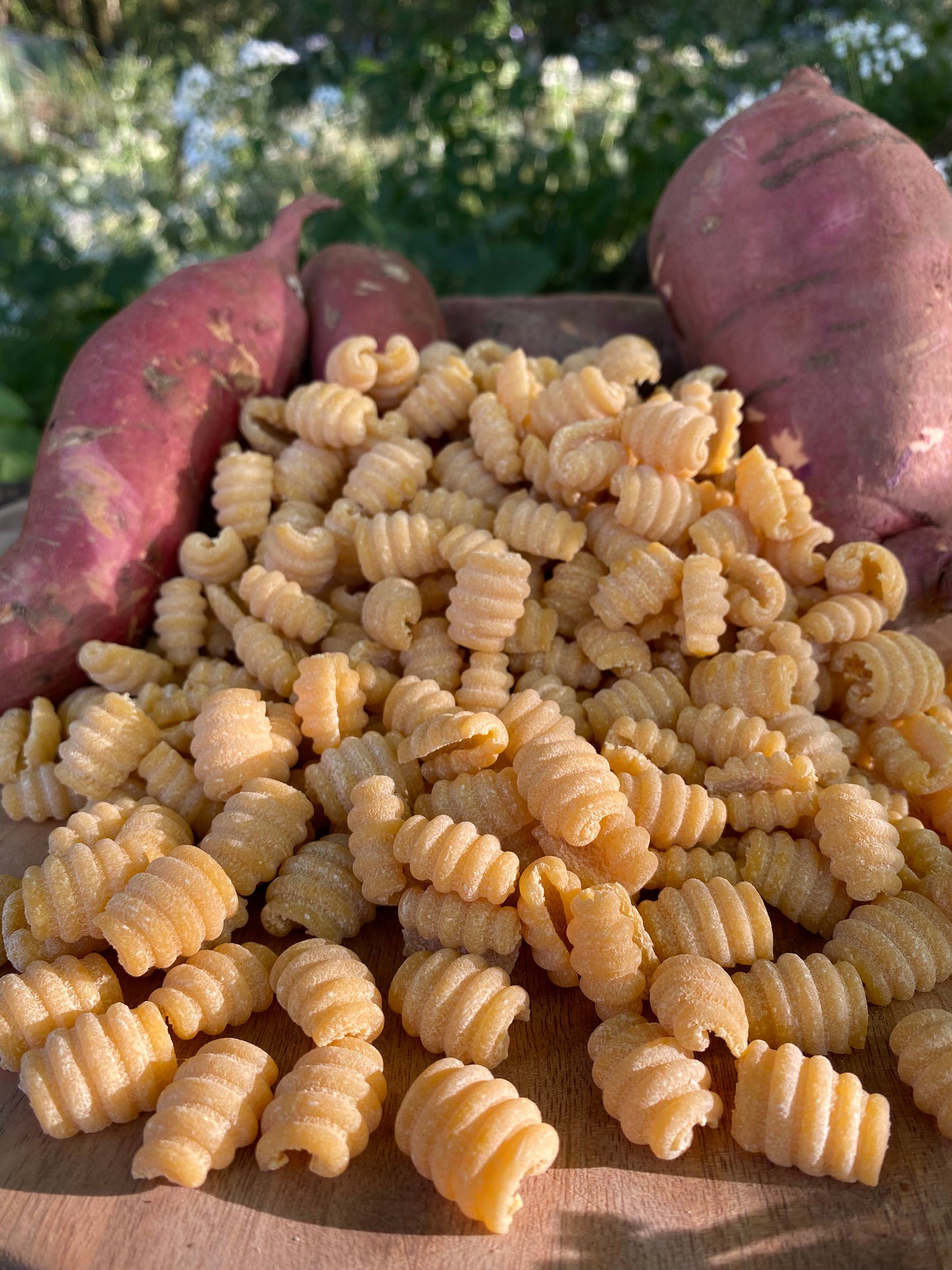 Fresh Semolina Sourdough Pasta (organic)
