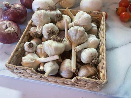 Cured Garlic