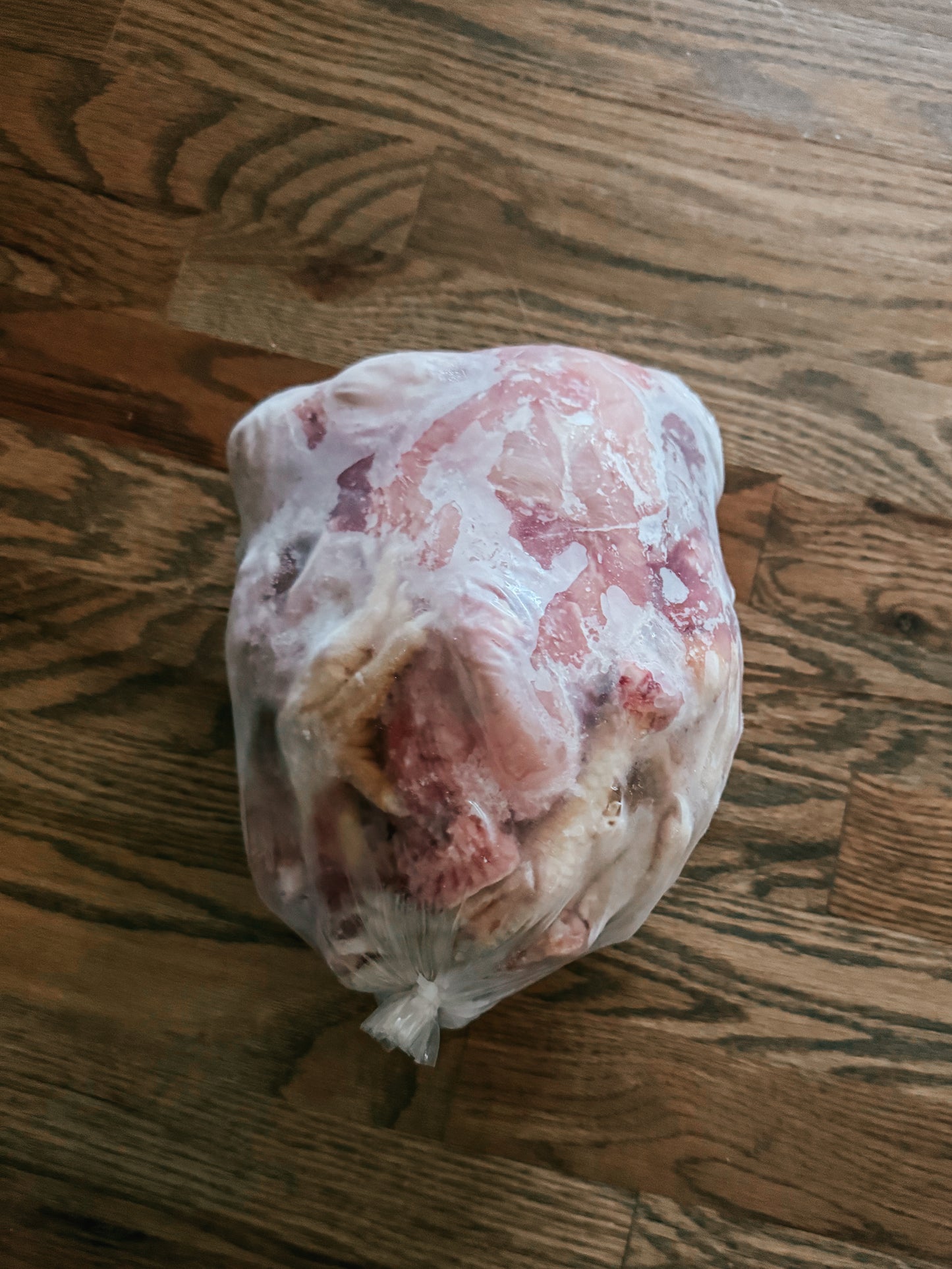 Raw Pet Food