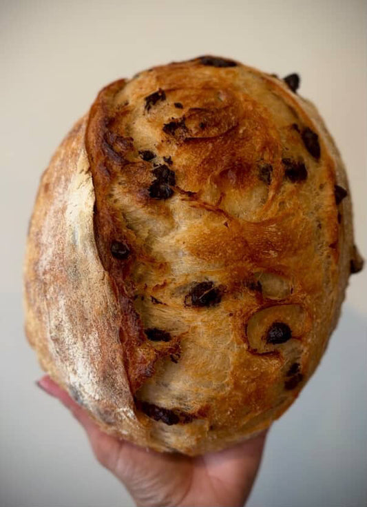 Croissant Sourdough Boules (round)
