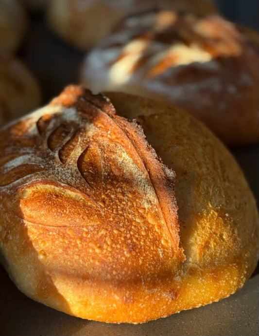 Artisan Sourdough Boules (round)