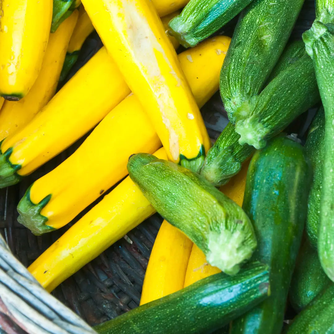 Summer Squashes