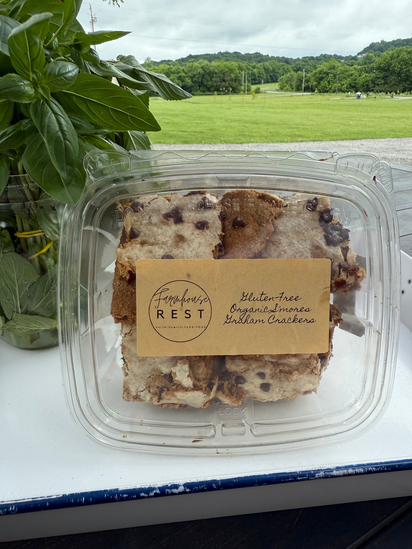 Graham Crackers (gf/fm)