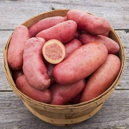 Local Potatoes