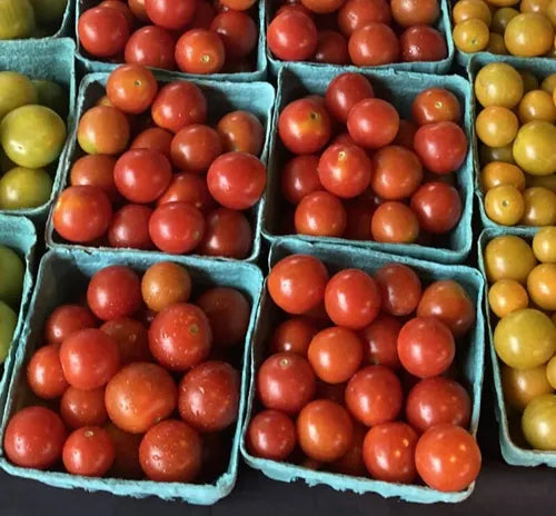 Cherry Tomatoes