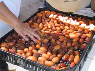 Fresh Date Sampler
