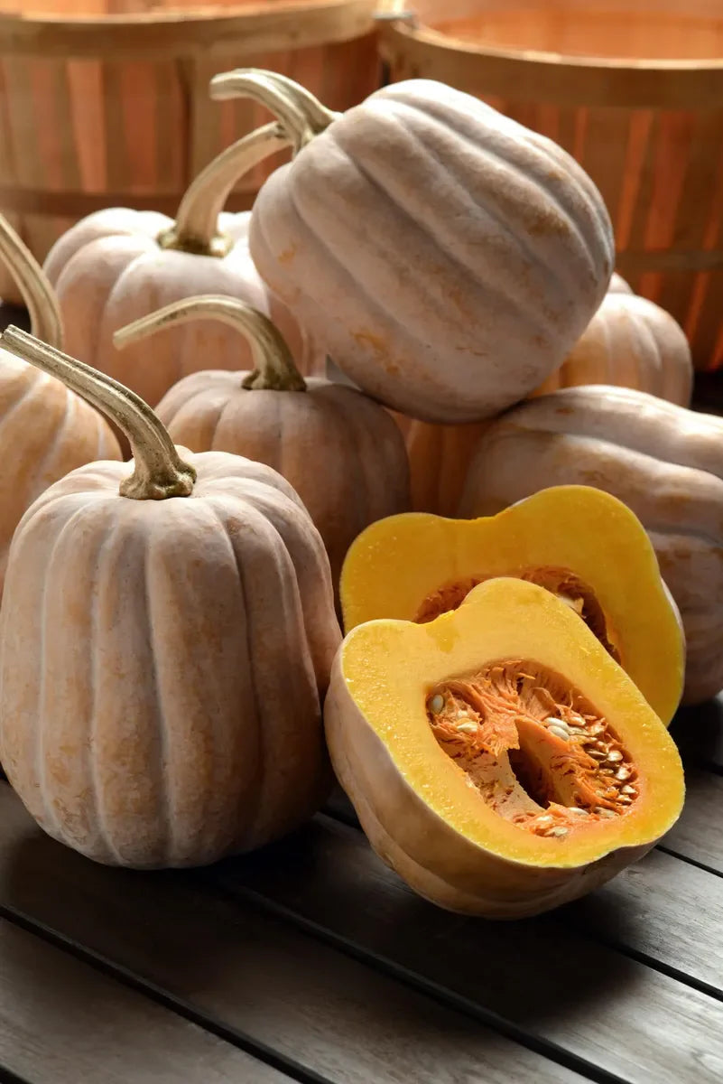 Fall Squash