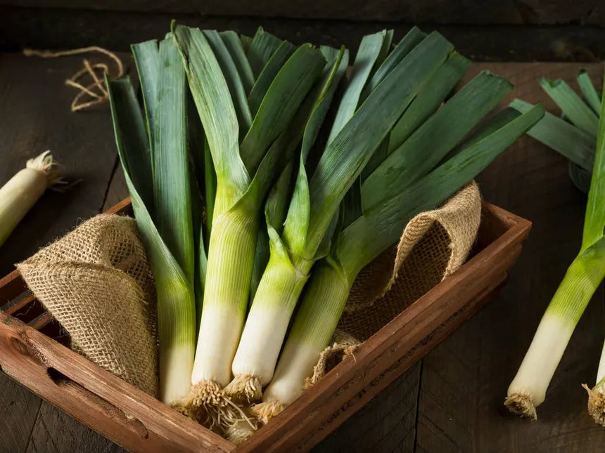 Leeks Bundle