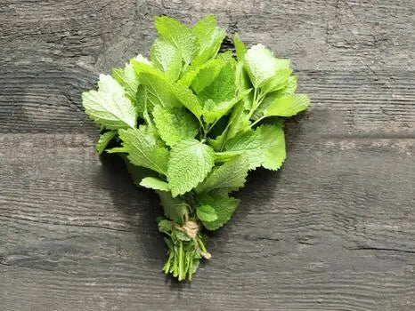 Fresh Herb Bundles