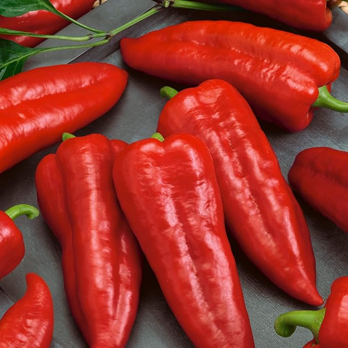 Summer Sweet Peppers