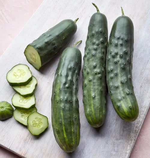 Cucumbers (Dual Purpose)