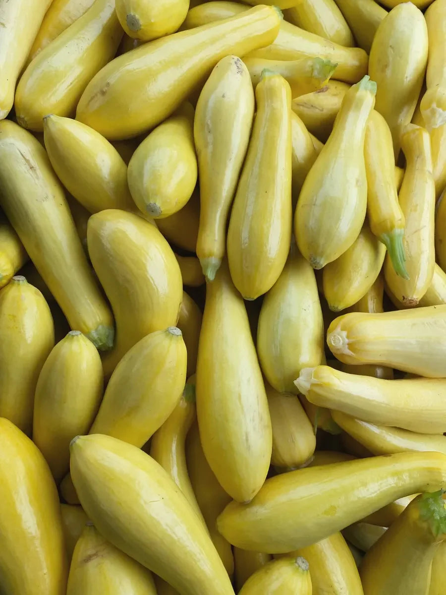 Summer Squashes